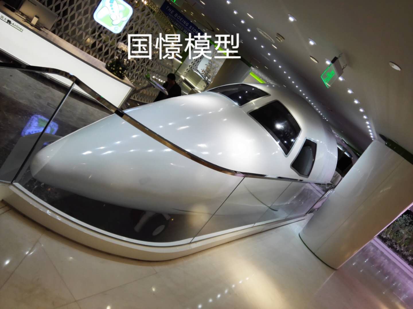 祁东县大型仿真模型道具