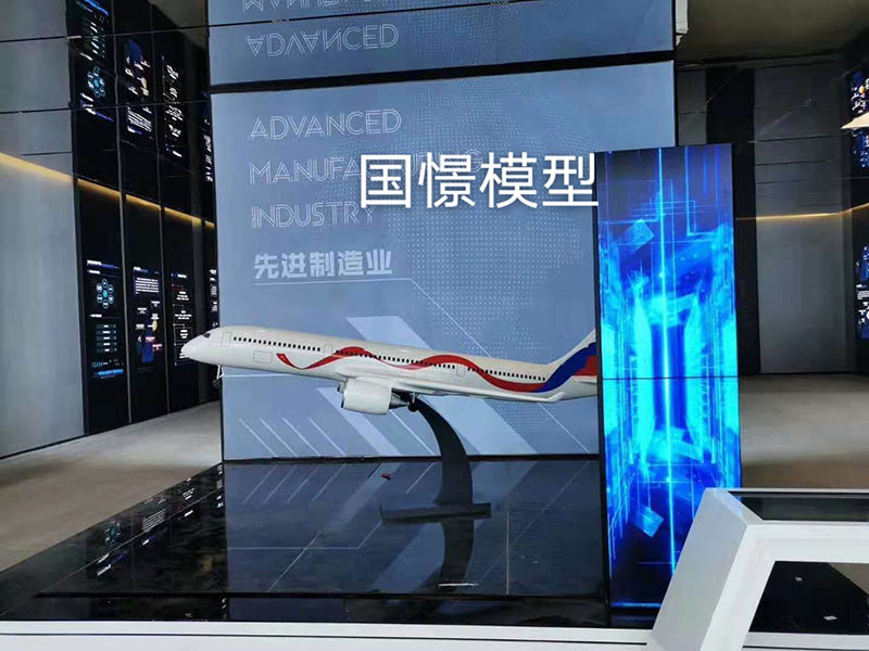 祁东县飞机模型