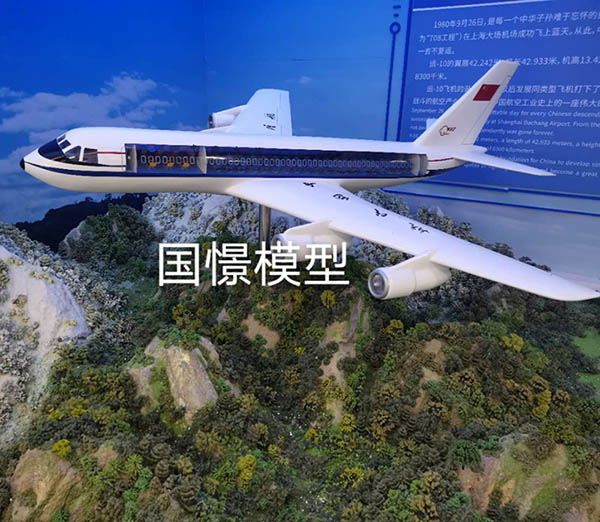 祁东县飞机模型