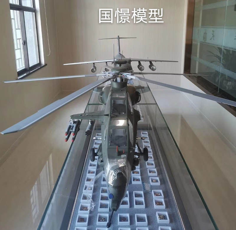 祁东县飞机模型