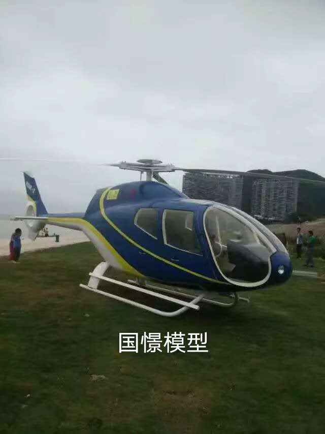 祁东县飞机模型