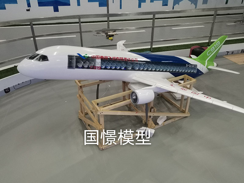 祁东县飞机模型