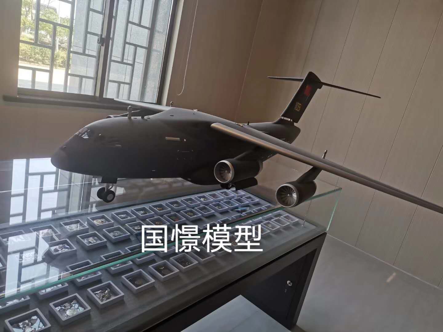 祁东县飞机模型