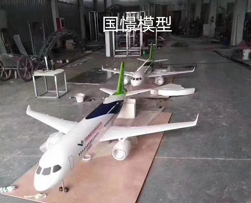 祁东县飞机模型
