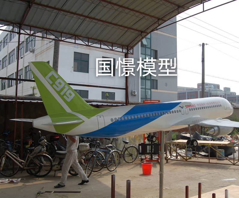 祁东县飞机模型