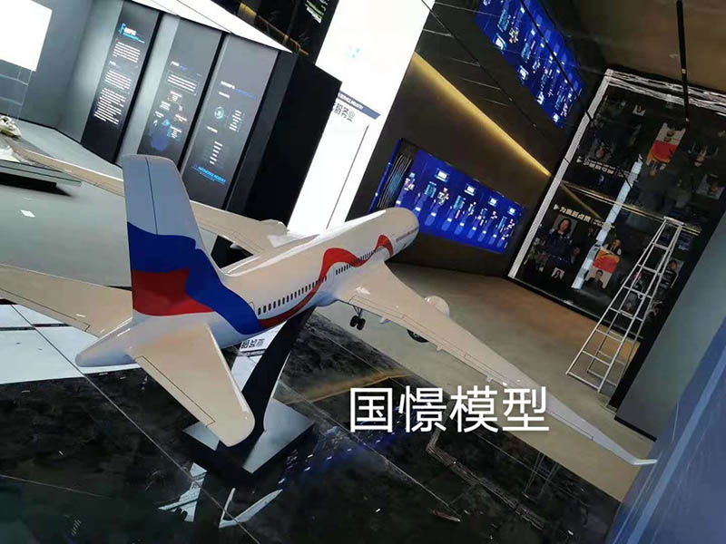祁东县飞机模型