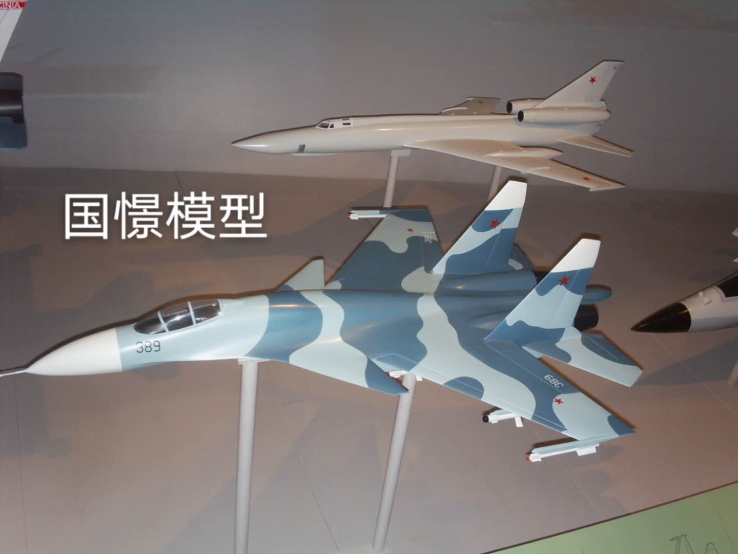 祁东县军事模型