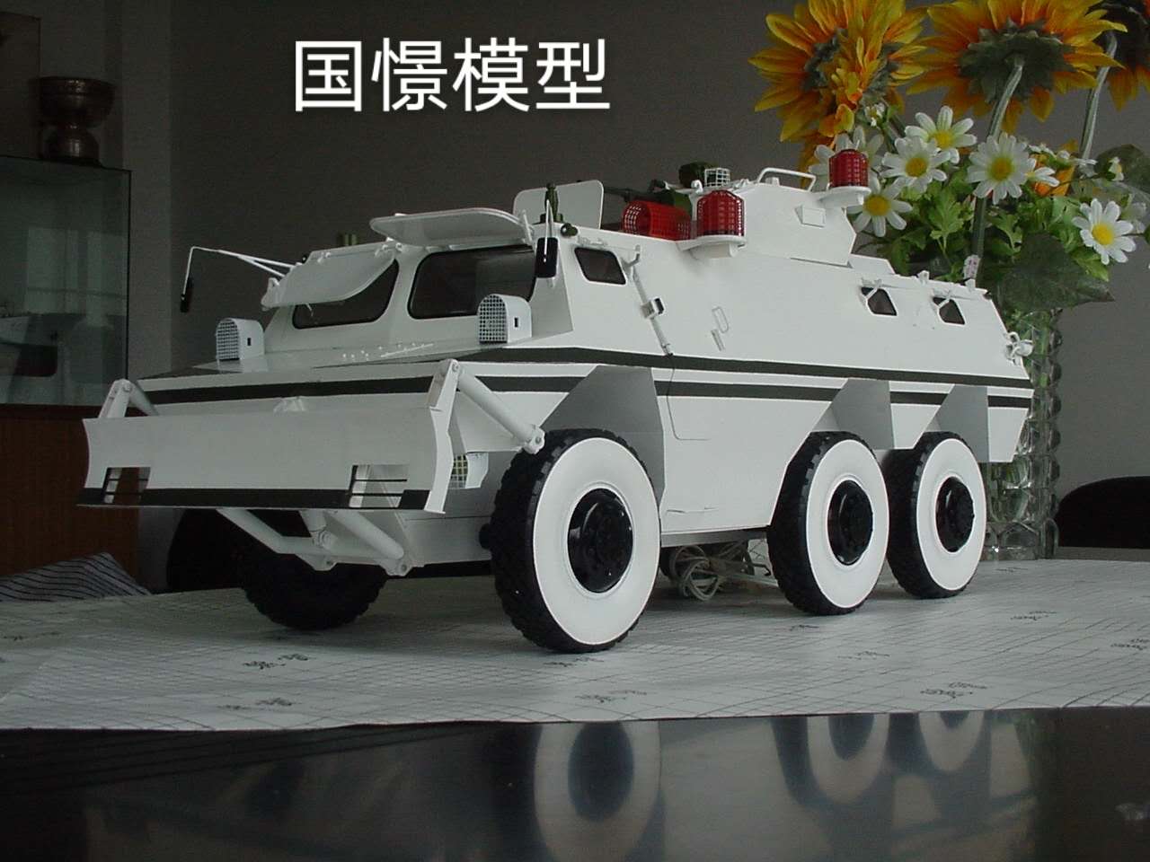 祁东县军事模型