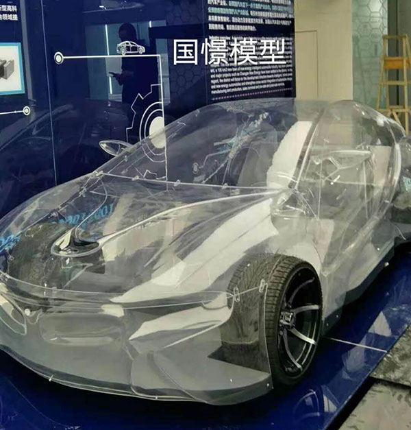祁东县透明车模型