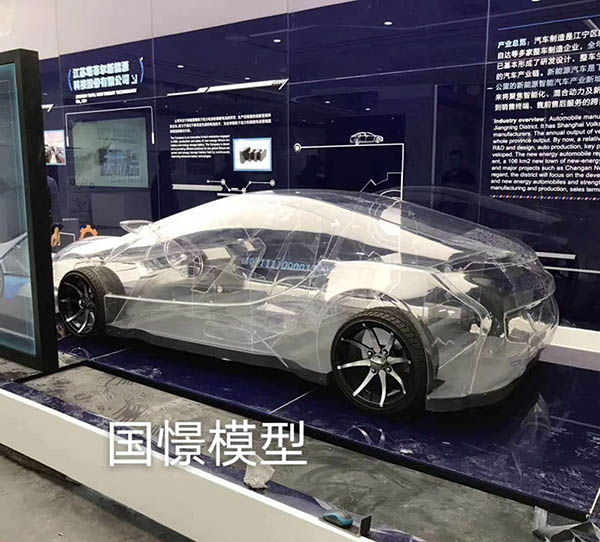 祁东县透明车模型