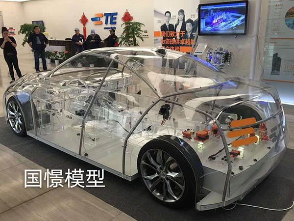 祁东县透明车模型